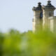 Chateau Labegorce - Chateau Labegorce Margaux - Aop Margaux - Rouge - 2020 - 0,75