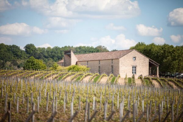 Chateau Cap de Faugères - Chateau Cap de Faugères - Aop Castillon Cote De Bordeaux - Rouge - 2018 - 0,75