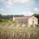 Chateau Cap de Faugères - Chateau Cap de Faugères - Aop Castillon Cote De Bordeaux - Rouge - 2018 - 0,75