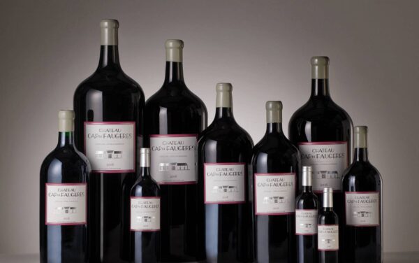 Chateau Cap de Faugères - Chateau Cap de Faugères - Aop Castillon Cote De Bordeaux - Rouge - 2018 - 0,75