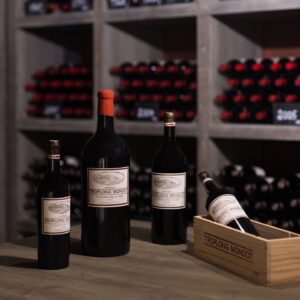 Chateau Troplong Mondot - Chateau Troplong Mondot - Aop Saint Emilion Grand Cru - Rouge - 2017 - 0,75