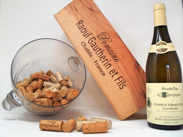 Domaine Gautherin - Chablis Grand Cru Vaudésirs - Aop Chablis Grand Cru - Blanc - 2021 - 0,75
