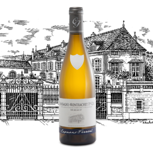 Domaine Capuano Ferreri - Chassagne Montrachet Premier Cru Morgeot - Aop Chassagne Montrachet 1Er Cru - Blanc - 2023 - 0,75