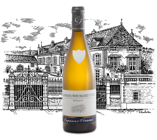 Domaine Capuano Ferreri - Chassagne Montrachet Premier Cru Morgeot - Aop Chassagne Montrachet 1Er Cru - Blanc - 2023 - 0,75