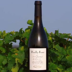 Nicolas Gaudry - Pouilly Fumé Les champs de Cri - Aop Pouilly Fumé - Blanc - 2022 - 0,75