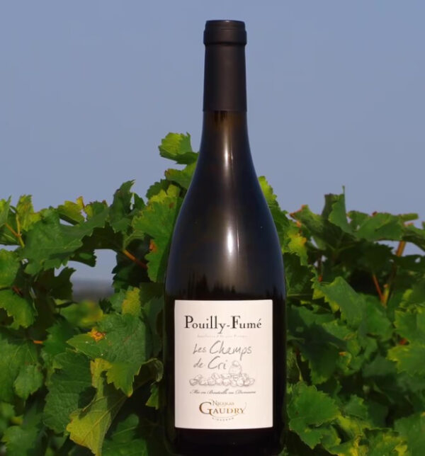 Nicolas Gaudry - Pouilly Fumé Les champs de Cri - Aop Pouilly Fumé - Blanc - 2022 - 0,75