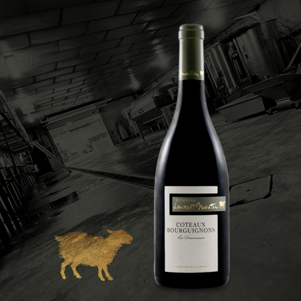 Domaine Laurent Mouton - Coteaux Bourguignons Les Fourneaux - Aop Coteaux bourguignons - Rouge - 2024 - 0,75