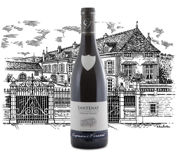 Domaine Capuano Ferreri - Santenay Vieilles Vignes - Aop Santenay - Rouge - 2022 - 0,75