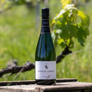 Champagne Fernand Lemaire - Tradition 1er Cru - Aop Champagne - Effervescent Blanc - NV - 0,75