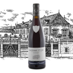 Domaine Capuano Ferreri - Santenay Premier Cru La Comme - Aop Santenay 1er Cru - Rouge - 2022 - 0,75