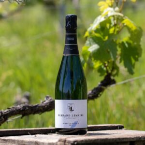 Champagne Fernand Lemaire - Blanc de Blanc 1er Cru - Aop Champagne - Effervescent Blanc - NV - 0,75