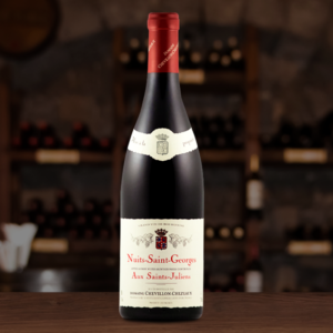 Domaine Chevillon Chezeaux - Nuits Saint Georges Aux saints Juliens - Aop Nuits Saint Georges - Rouge - 2022 - 0,75