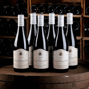 Domaine Thierry Mortet - Gevrey Chambertin - Aop Gevrey Chambertin - Rouge - 2022 - 0,75