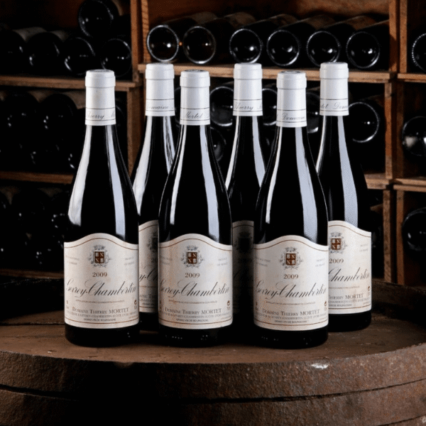 Domaine Thierry Mortet - Gevrey Chambertin - Aop Gevrey Chambertin - Rouge - 2022 - 0,75