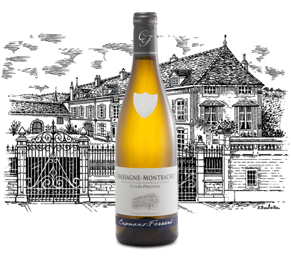 Domaine Capuano Ferreri - Chassagne Montrachet Cuvée Prestige - Aop Chassagne Montrachet - Blanc - 2023 - 0,75