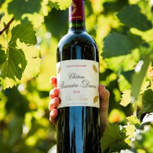 Chateau Branaire Ducru - Chateau Branaire Ducru - Aop Saint Julien - Rouge - 2018 - 0,75