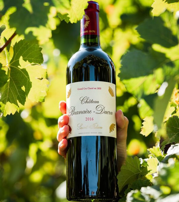 Chateau Branaire Ducru - Chateau Branaire Ducru - Aop Saint Julien - Rouge - 2018 - 0,75