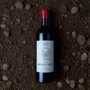 Chateau Gruaud Larose - Chateau Gruaud Larose - Aop Saint Julien - Rouge - 2016 - 0,75